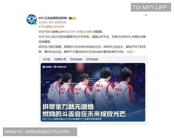 深入分析王者荣耀战队TES的实力与战术布局探讨